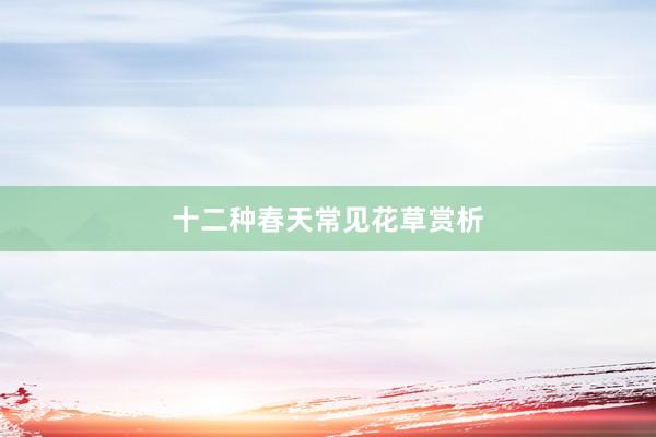 十二种春天常见花草赏析