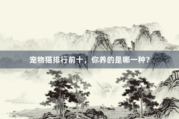 宠物猫排行前十，你养的是哪一种？