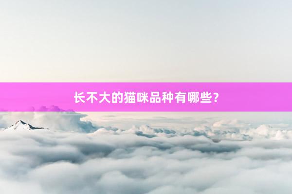 长不大的猫咪品种有哪些？