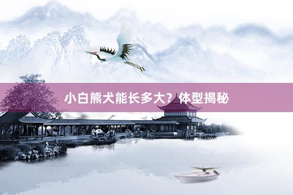 小白熊犬能长多大？体型揭秘